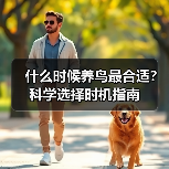 什么时候养鸟最合适?科学选择时机指南(图2) 什么时候养鸟最合适?科学选择时机指南(图2)