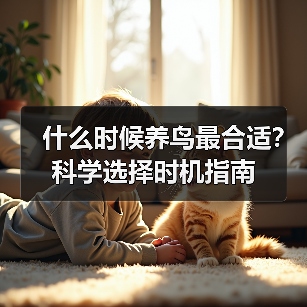 什么时候养鸟最合适?科学选择时机指南(图1) 什么时候养鸟最合适?科学选择时机指南(图1)