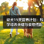 幼犬15天营养计划:科学喂养关键与食物搭配指南(图2) 幼犬15天营养计划:科学喂养关键与食物搭配指南(图2)