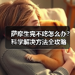 萨摩生完不吃怎么办?科学解决方法全攻略(图4) 萨摩生完不吃怎么办?科学解决方法全攻略(图4)