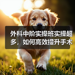 外科中阶实操班实操超多，如何高效提升手术