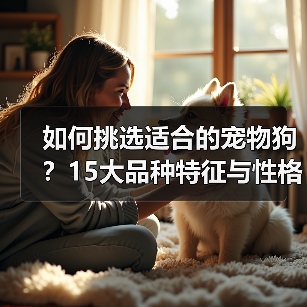 如何挑选适合的宠物狗?15大品种特征与性格全解析(图4) 如何挑选适合的宠物狗?15大品种特征与性格全解析(图4)