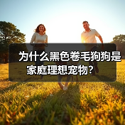 为什么黑色卷毛狗狗是家庭理想宠物?(图2) 为什么黑色卷毛狗狗是家庭理想宠物?(图2)
