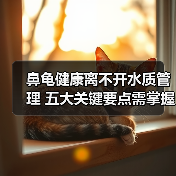 鼻龟健康离不开水质管理 五大关键要点需掌