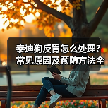 泰迪狗反胃怎么处理？常见原因及预防方法全