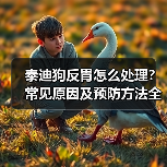 泰迪狗反胃怎么处理?常见原因及预防方法全解析(图4) 泰迪狗反胃怎么处理?常见原因及预防方法全解析(图4)