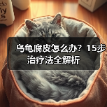 乌龟腐皮怎么办?15步治疗法全解析(图4) 乌龟腐皮怎么办?15步治疗法全解析(图4)