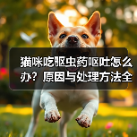 猫咪吃驱虫药呕吐怎么办?原因与处理方法全解析(图3) 猫咪吃驱虫药呕吐怎么办?原因与处理方法全解析(图3)
