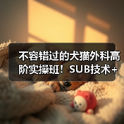 不容错过的犬猫外科高阶实操班！SUB技术