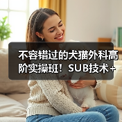 不容错过的犬猫外科高阶实操班!SUB技术+乳糜胸手术全掌握(图2) 不容错过的犬猫外科高阶实操班!SUB技术+乳糜胸手术全掌握(图2)