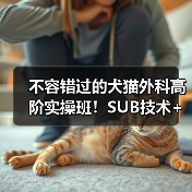 不容错过的犬猫外科高阶实操班!SUB技术+乳糜胸手术全掌握(图4) 不容错过的犬猫外科高阶实操班!SUB技术+乳糜胸手术全掌握(图4)