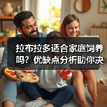 拉布拉多适合家庭饲养吗？优缺点分析助你决定(图3)