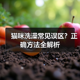 猫咪洗澡常见误区?正确方法全解析(图2) 猫咪洗澡常见误区?正确方法全解析(图2)