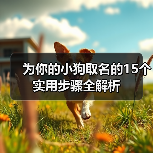 为你的小狗取名的15个实用步骤全解析(图3) 为你的小狗取名的15个实用步骤全解析(图3)