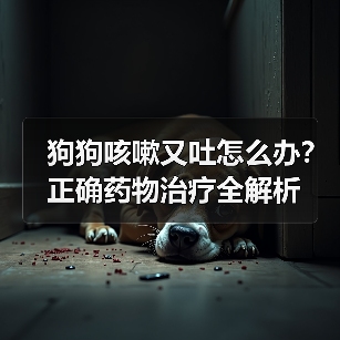 狗狗咳嗽又吐怎么办？正确药物治疗全解析