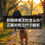 狗狗咳嗽又吐怎么办?正确药物治疗全解析(图4) 狗狗咳嗽又吐怎么办?正确药物治疗全解析(图4)