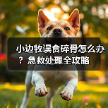 小边牧误食碎骨怎么办?急救处理全攻略(图4) 小边牧误食碎骨怎么办?急救处理全攻略(图4)