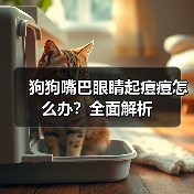 狗狗嘴巴眼睛起痘痘怎么办？全面解析(图2)