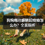 狗狗嘴巴眼睛起痘痘怎么办？全面解析(图3)