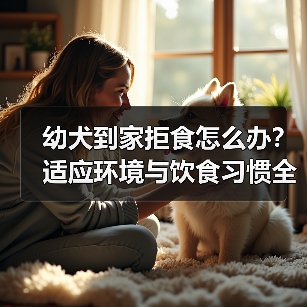 幼犬到家拒食怎么办?适应环境与饮食习惯全攻略(图2) 幼犬到家拒食怎么办?适应环境与饮食习惯全攻略(图2)