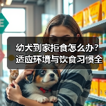 幼犬到家拒食怎么办?适应环境与饮食习惯全攻略(图4) 幼犬到家拒食怎么办?适应环境与饮食习惯全攻略(图4)