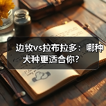 边牧vs拉布拉多：哪种犬种更适合你？