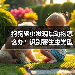 狗狗驱虫发现蠕动物怎么办?识别寄生虫类型全攻略(图2) 狗狗驱虫发现蠕动物怎么办?识别寄生虫类型全攻略(图2)
