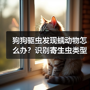 狗狗驱虫发现蠕动物怎么办?识别寄生虫类型全攻略(图4) 狗狗驱虫发现蠕动物怎么办?识别寄生虫类型全攻略(图4)