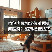 脓包内异物定位难题如何破解?超声检查技巧全解析(图4) 脓包内异物定位难题如何破解?超声检查技巧全解析(图4)