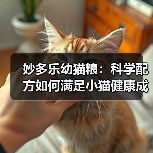 妙多乐幼猫粮：科学配方如何满足小猫健康成