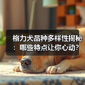 格力犬品种多样性揭秘：哪些特点让你心动？