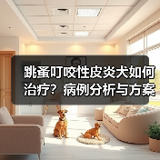 跳蚤叮咬性皮炎犬如何治疗?病例分析与方案解析(图4) 跳蚤叮咬性皮炎犬如何治疗?病例分析与方案解析(图4)