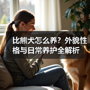 比熊犬怎么养?外貌性格与日常养护全解析(图1) 比熊犬怎么养?外貌性格与日常养护全解析(图1)