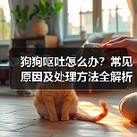狗狗呕吐怎么办?常见原因及处理方法全解析(图1) 狗狗呕吐怎么办?常见原因及处理方法全解析(图1)