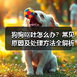 狗狗呕吐怎么办?常见原因及处理方法全解析(图4) 狗狗呕吐怎么办?常见原因及处理方法全解析(图4)