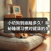 小奶狗到底睡多久?揭秘睡眠习惯对健康的关键影响(图3) 小奶狗到底睡多久?揭秘睡眠习惯对健康的关键影响(图3)