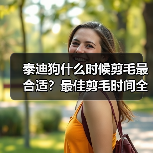 泰迪狗什么时候剪毛最合适?最佳剪毛时间全解析(图2) 泰迪狗什么时候剪毛最合适?最佳剪毛时间全解析(图2)