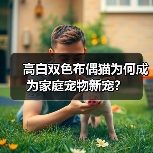 高白双色布偶猫为何成为家庭宠物新宠？(图3)