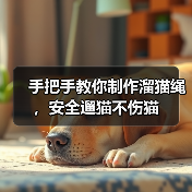 手把手教你制作溜猫绳,安全遛猫不伤猫(图3) 手把手教你制作溜猫绳,安全遛猫不伤猫(图3)