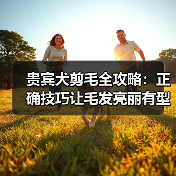 贵宾犬剪毛全攻略：正确技巧让毛发亮丽有型(图2)