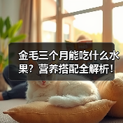 金毛三个月能吃什么水果?营养搭配全解析!(图2) 金毛三个月能吃什么水果?营养搭配全解析!(图2)