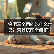 金毛三个月能吃什么水果？营养搭配全解析！