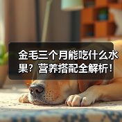 金毛三个月能吃什么水果?营养搭配全解析!(图4) 金毛三个月能吃什么水果?营养搭配全解析!(图4)