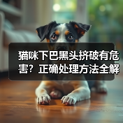 猫咪下巴黑头挤破有危害？正确处理方法全解析(图2)