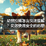 幼猫拉稀怎么快速缓解？见效快且安全的药物推荐(图4)