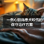 一例心脏病患犬咬伤的保守治疗方案(图3) 一例心脏病患犬咬伤的保守治疗方案(图3)