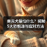 贵宾犬最怕什么?揭秘5大恐惧源与应对方法(图3) 贵宾犬最怕什么?揭秘5大恐惧源与应对方法(图3)