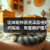 比熊配种后洗澡最佳时间指南：恢复期护理与清洁建议(图4)