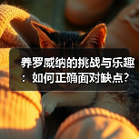 养罗威纳的挑战与乐趣：如何正确面对缺点？