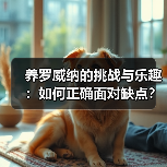 养罗威纳的挑战与乐趣：如何正确面对缺点？(图2)